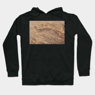 Humming Bird Nazca Lines, Peru. Hoodie